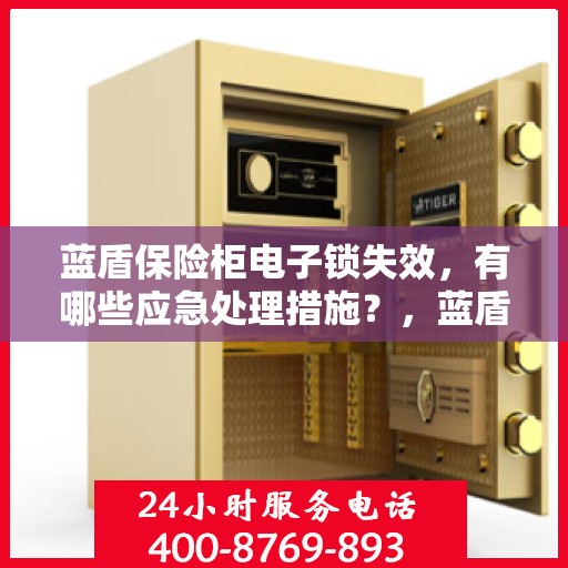 蓝盾保险柜电子锁失效，有哪些应急处理措施？，蓝盾保险柜电子锁失效应急处理指南