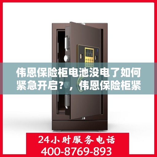 伟恩保险柜电池没电了如何紧急开启？，伟恩保险柜紧急开启指南，电池没电时的应对策略