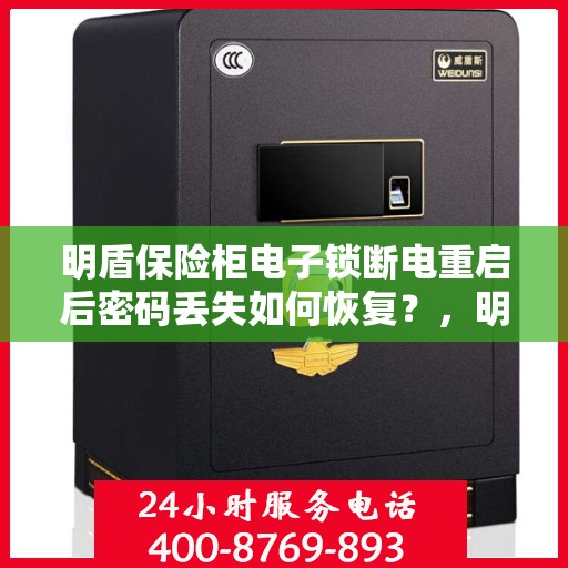 明盾保险柜电子锁断电重启后密码丢失如何恢复？，明盾保险柜电子锁密码丢失恢复指南，断电重启后的应急解决方案